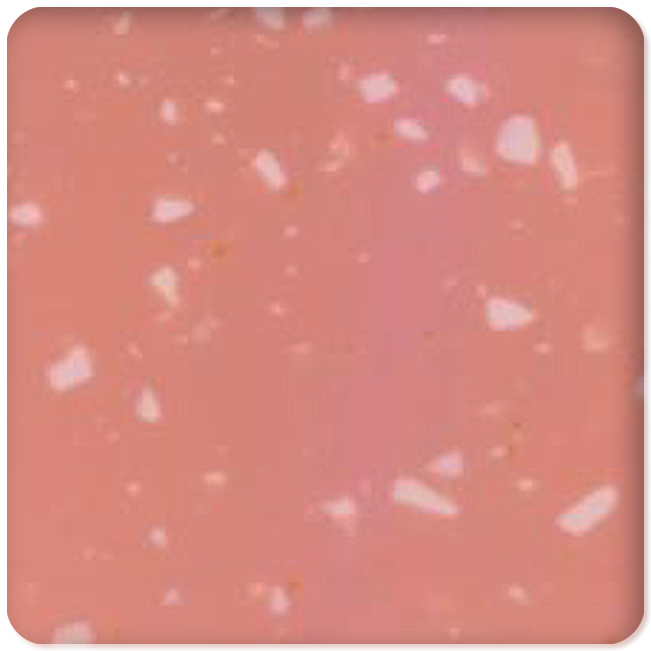 RC-301
